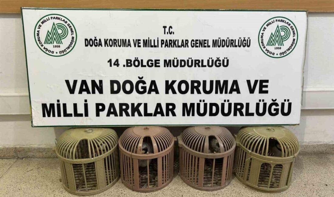 Van’ın Çatak ilçesinde aracında 4 kınalı keklikle yakalanan şahsa 51