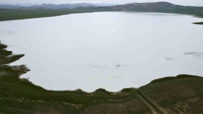 Van’ın Özalp ilçesinde birçok kuş türüne ev sahipliği yapan yağışlarla