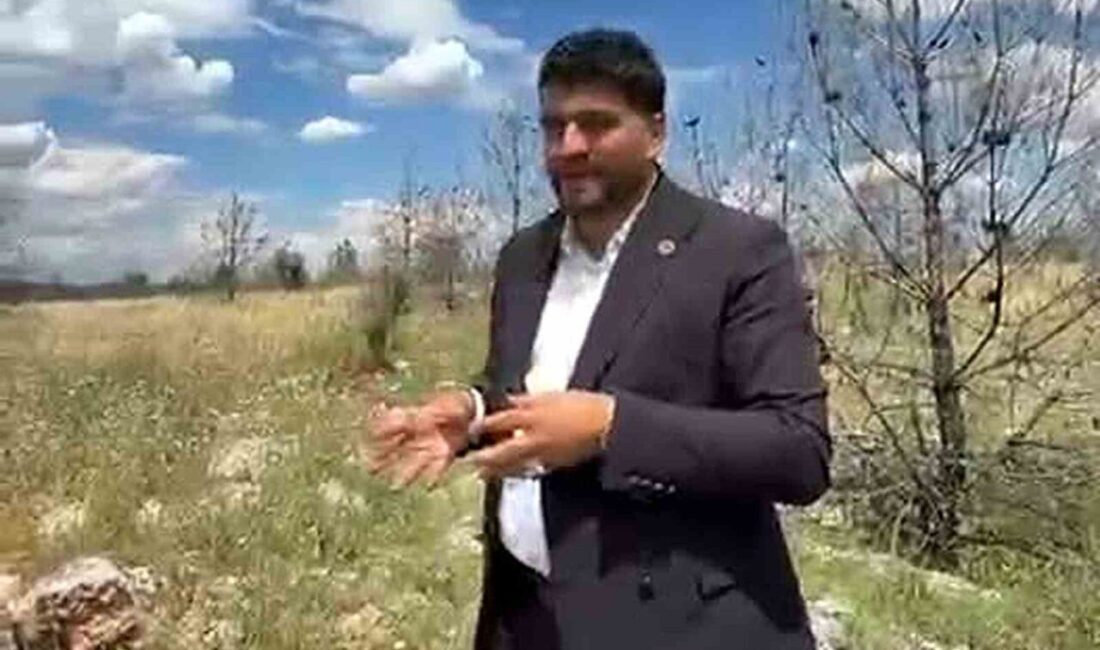 Gaziantep’in Araban ilçesi Hasanoğlu ve Sarıtepe mahallelerinde yaşayan vatandaşlar, bölgede