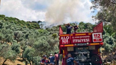 AYDIN (İHA) – Aydın’ın Yenipazar ilçesinde makilik alanda çıkan ve