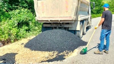 DÜZCE (İHA) – Düzce’nin Yığılca ilçesinde havaların ısınmasıyla birlikte öncelikle