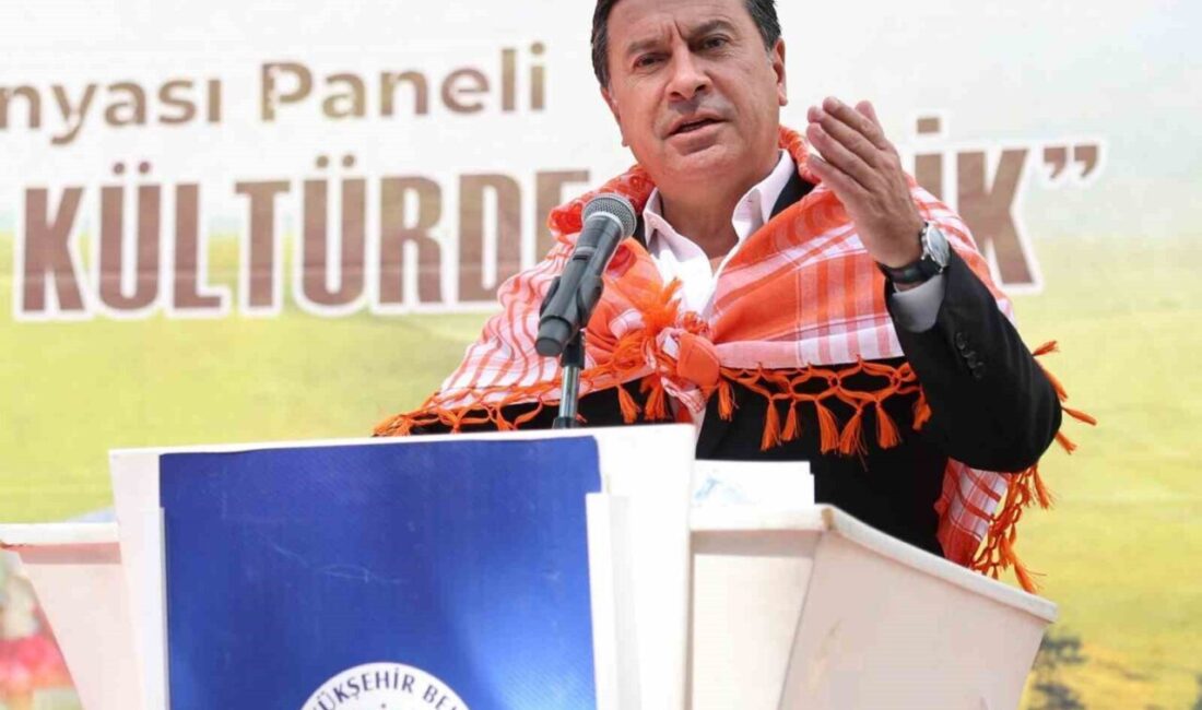 Muğla Büyükşehir Belediyesi tarafından bu yıl 17’ncisi gerçekleştirilecek olan Uluslararası