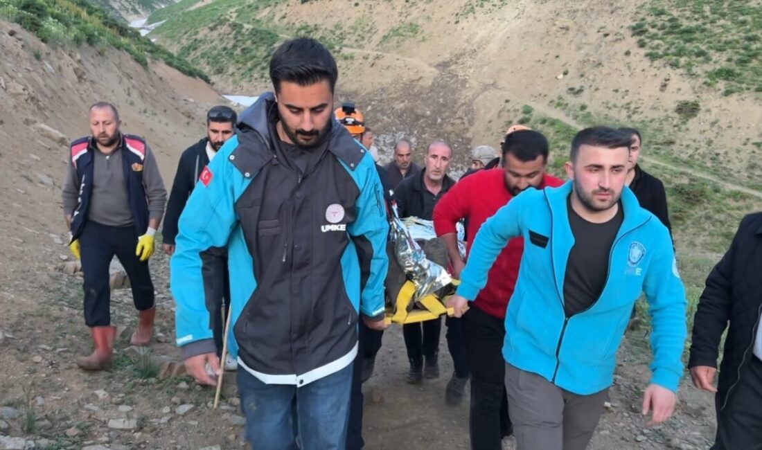 Hakkari’nin Yüksekova ilçesinde sarp kayalıkların bulunduğu alanda ot toplarken düşerek