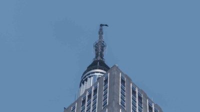 ABD’nin New York şehrinde evlilik teklifi için 443 metre yüksekliğindeki