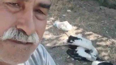 Çankırı’da evinin bahçesindeki ağaca yuva yapan leylekleri telef olmuş halde