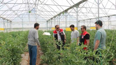 Erzincan İl Tarım ve Orman Müdürü Alper Koçaker, kent merkezine