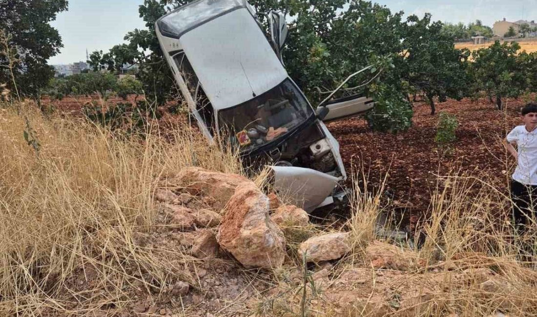 Şanlıurfa’da 2 kişinin yaralandığı trafik kazasında otomobil fıstık ağacında asılı