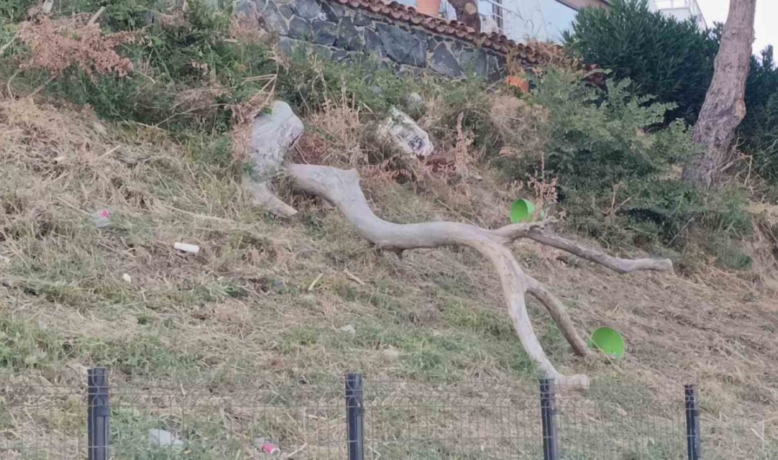Meteorolojinin kuvvetli rüzgar uyarısının ardından Tekirdağ’da etkili olan poyraz hayatı