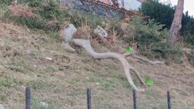 Meteorolojinin kuvvetli rüzgar uyarısının ardından Tekirdağ’da etkili olan poyraz hayatı